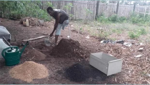An amputee working his small agricultural plot in Sierra Leona.