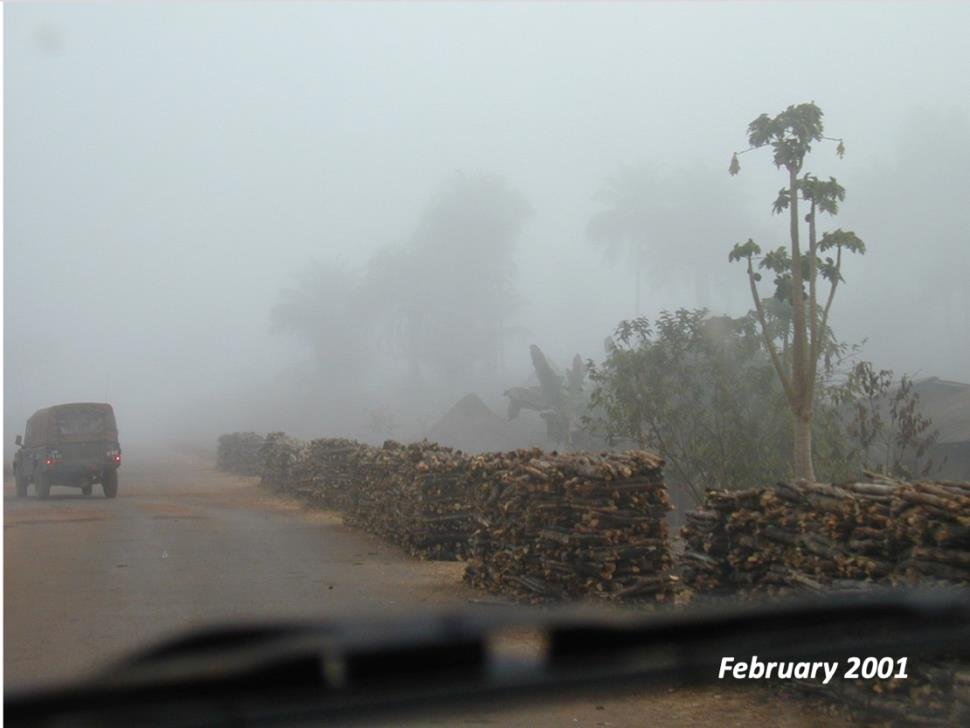 photo from a truck window of square piles of logs along a roadside with another truck in the distance on a foggy day in Sierra Leone