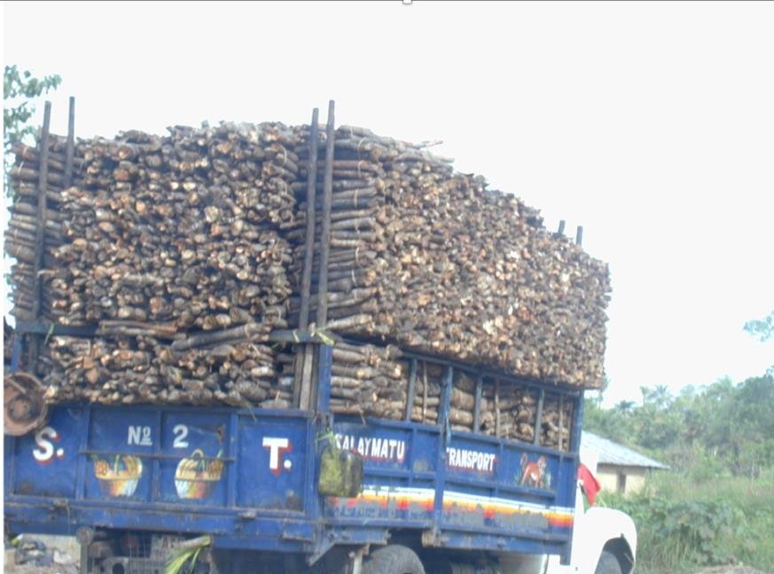 a white lorry with blue cage carrying log piles