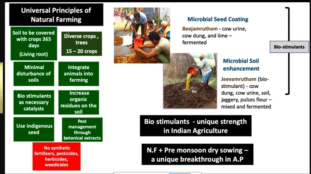 Graphic showing Universal Principles of Natural Farming