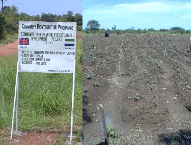 two photo. left shows a sign reading Community Reintegration Programme Community Tree Planting for Sustainable Development Project. Sign stands next to a green field. Right sows tree saplings newly planted in a field