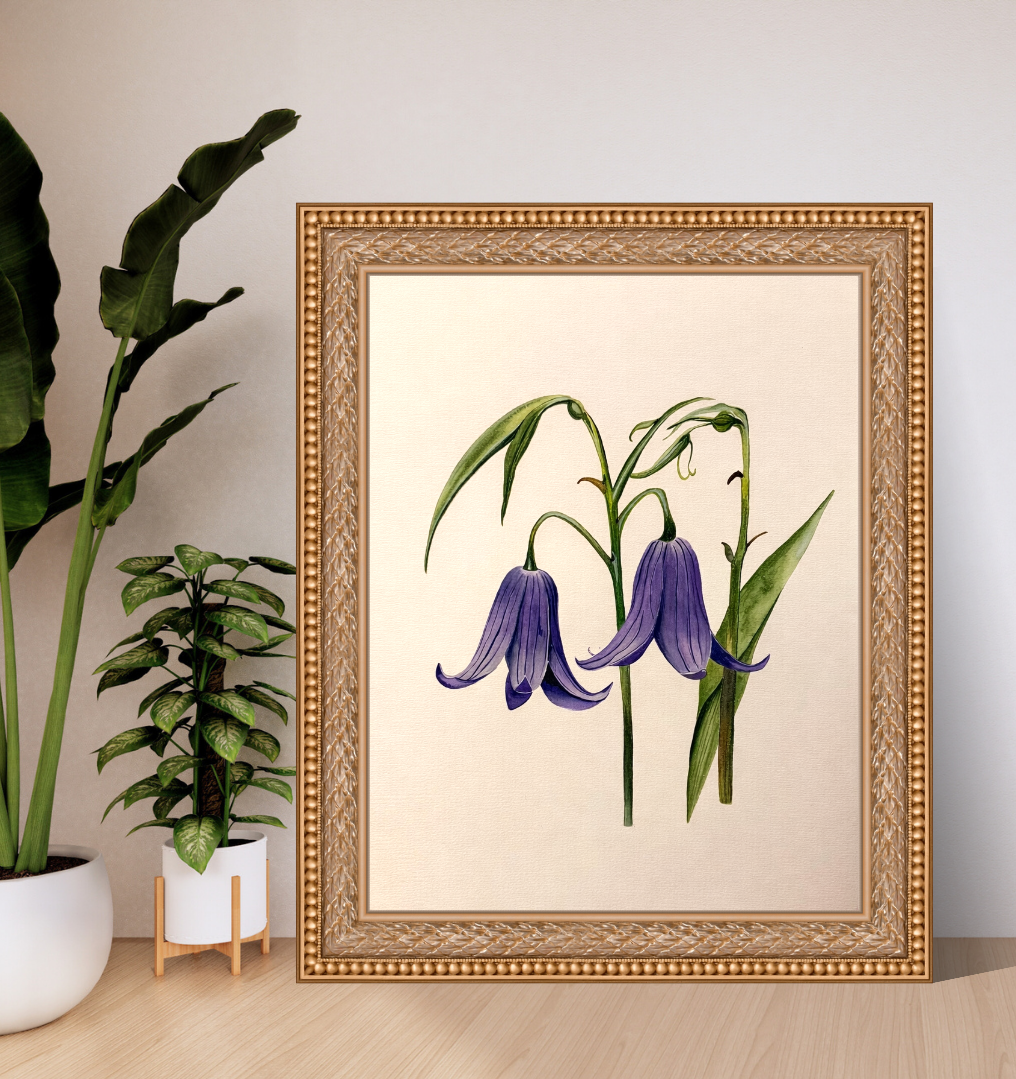 A Moment of Bluebells