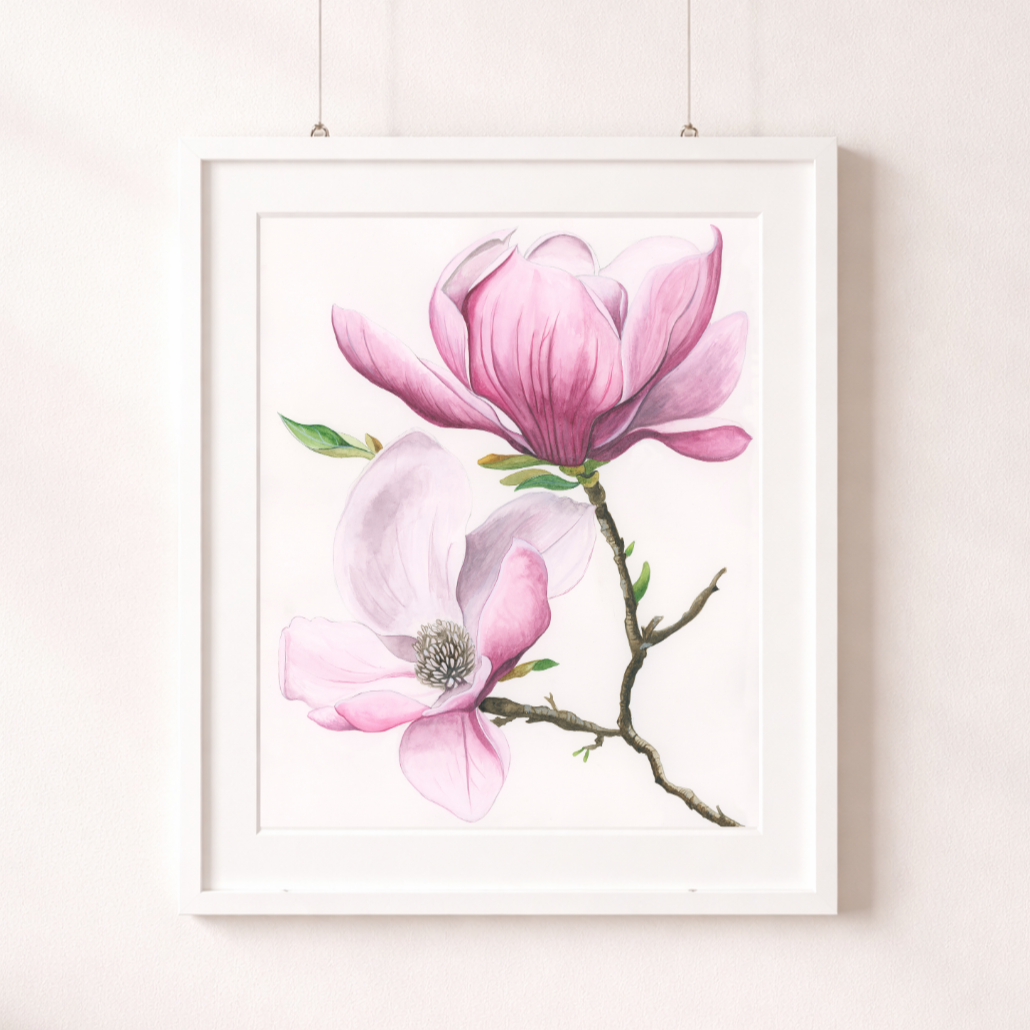 Magnolia%2C+Softly+Blooming+print.png