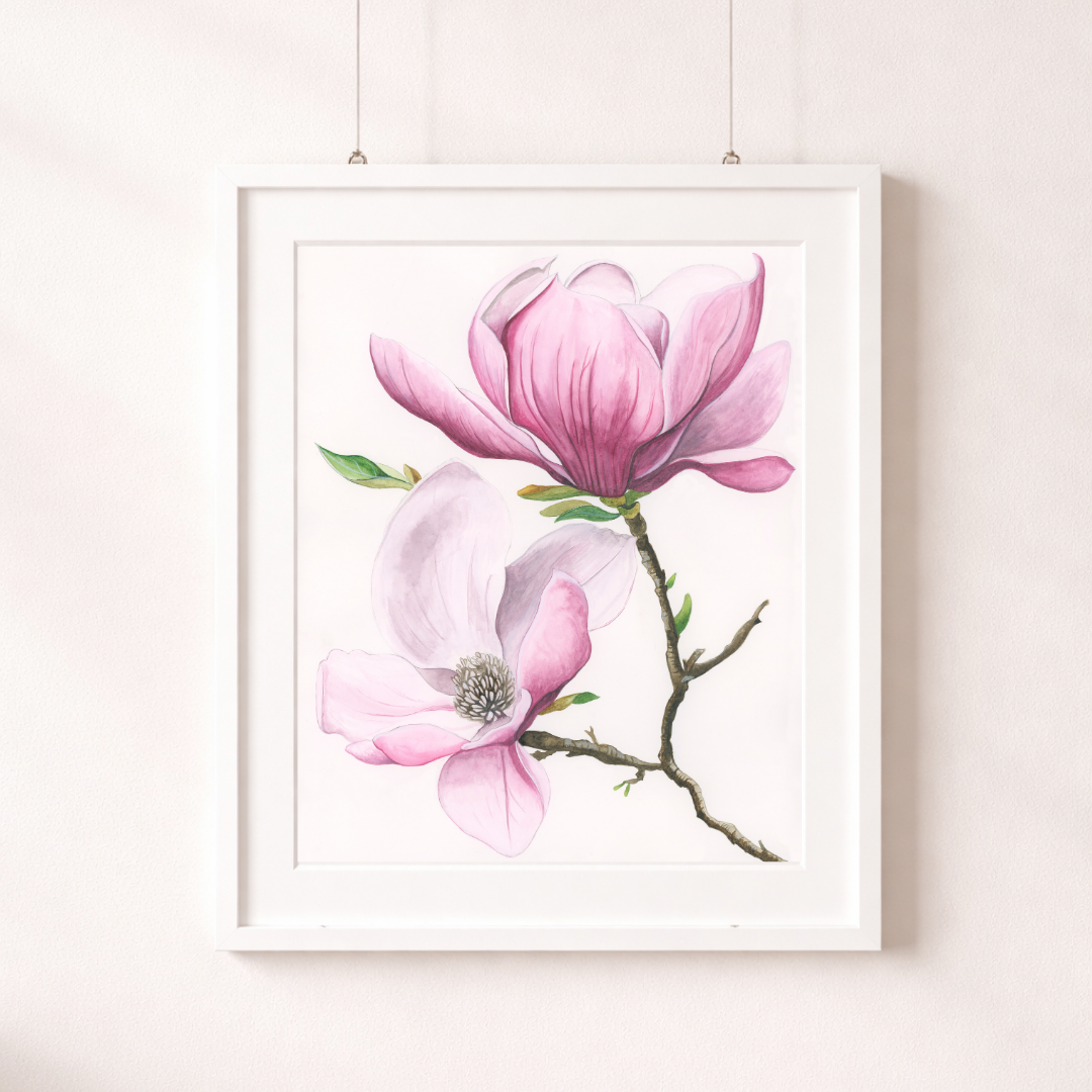 Magnolia, Softly Blooming print