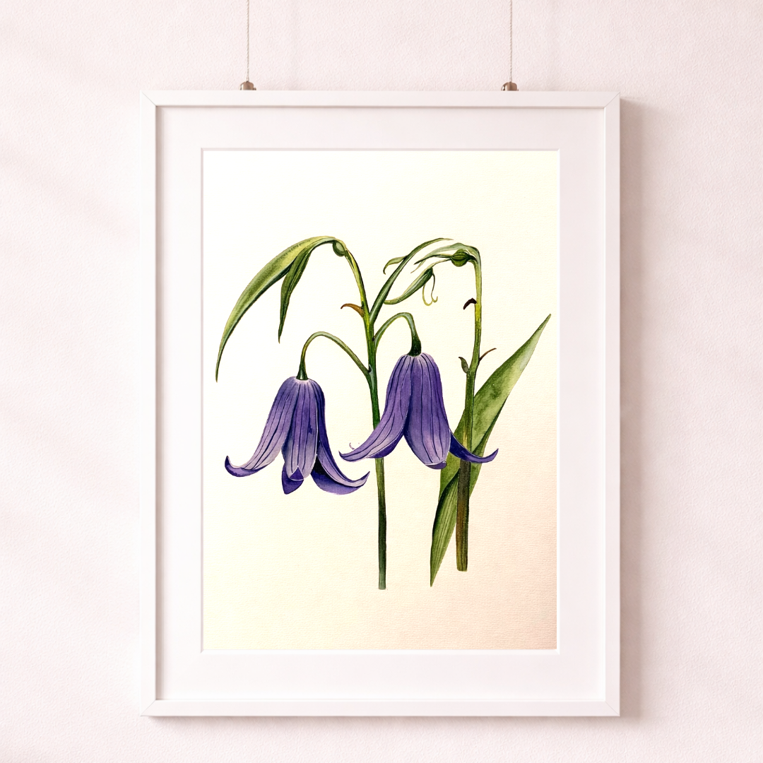 A Moment of Bluebells print.png