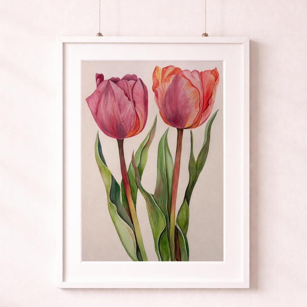 Tulips in Tranquillity