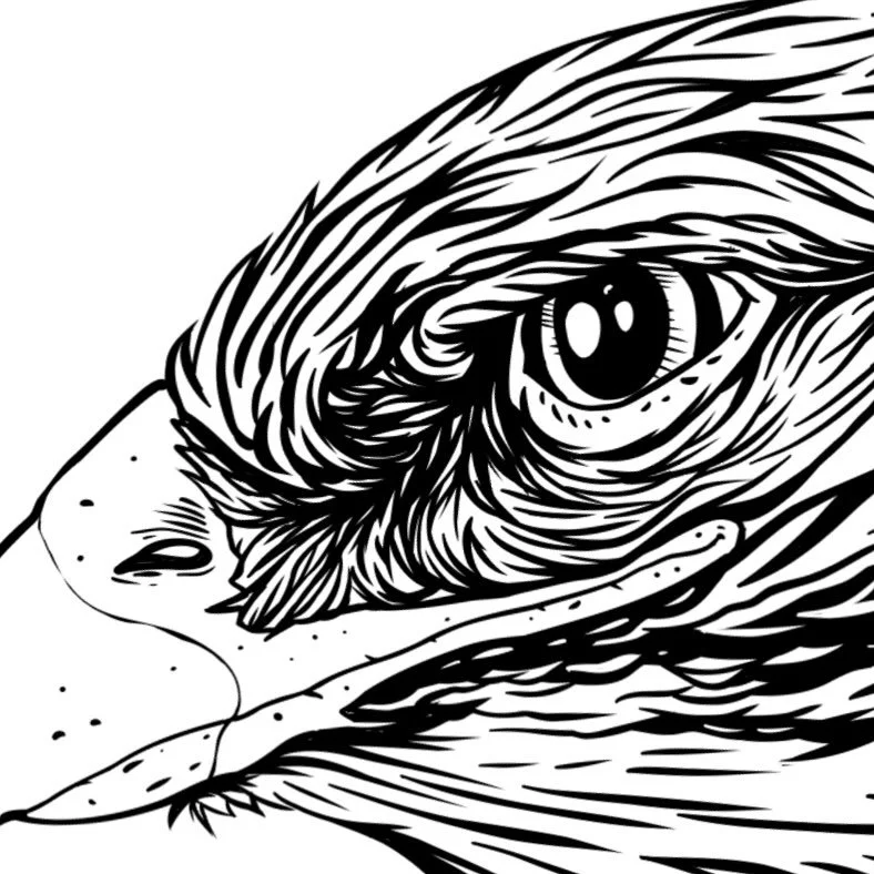 Workin on somethin&hellip;
#wip #illustration #hamsterlabs