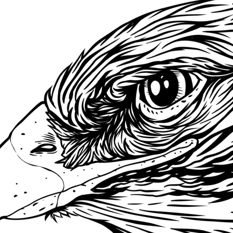 Workin on somethin&hellip;
#wip #illustration #hamsterlabs