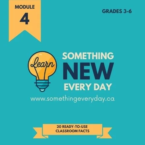 Module 4 (School Edition)