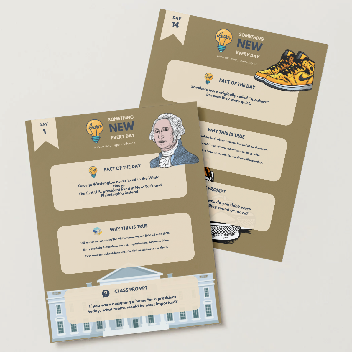 Module+10.png (Copy)