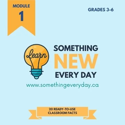 Module 1 (School Edition)