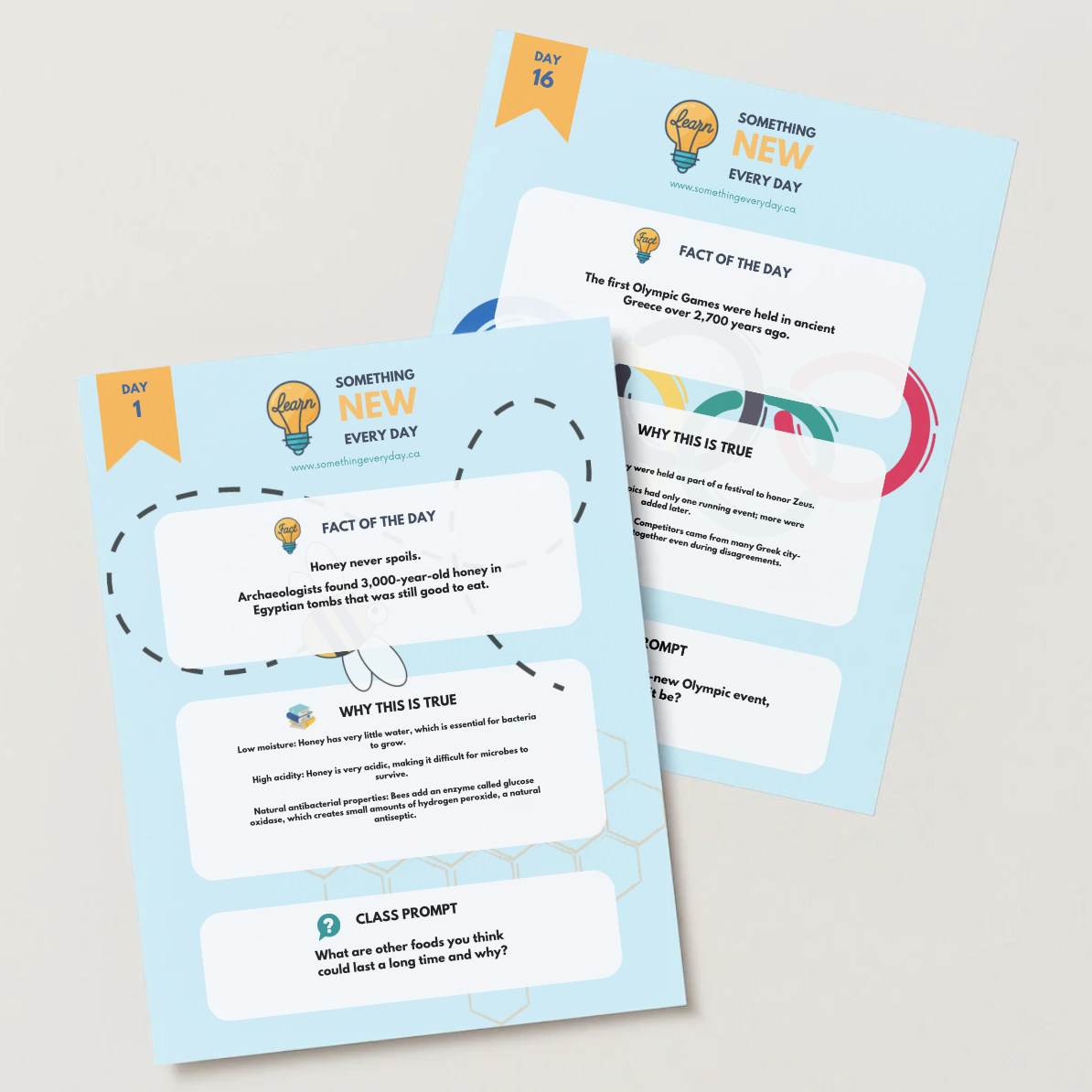 Screenshot+2025-12-17+at+9.31.24%E2%80%AFPM.png (Copy)