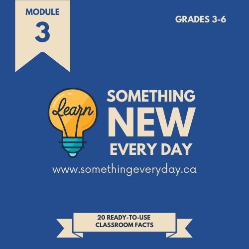 Module 3 (School Edition)