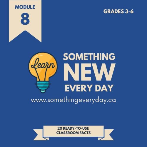 Module 8 (School Edition)