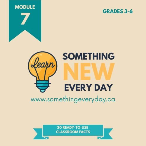 Module 7 (School Edition)