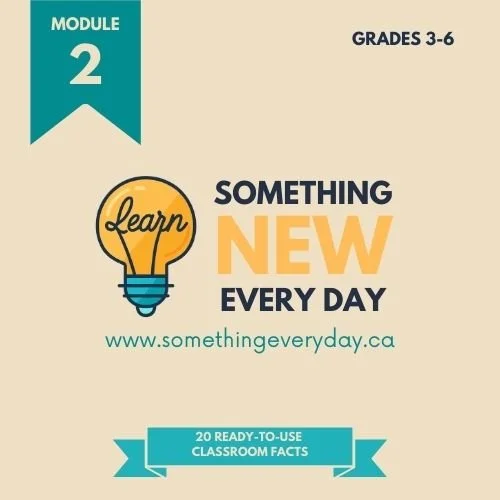 Module 2 (School Edition)