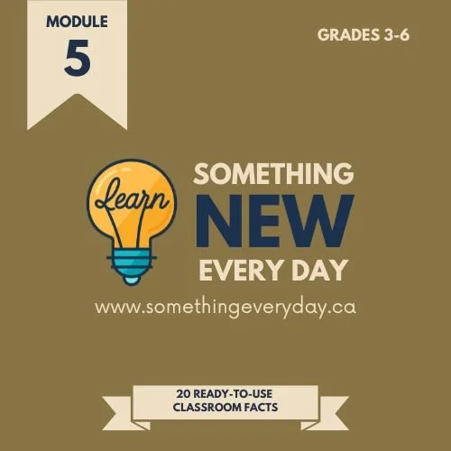 Module 5 (School Edition)