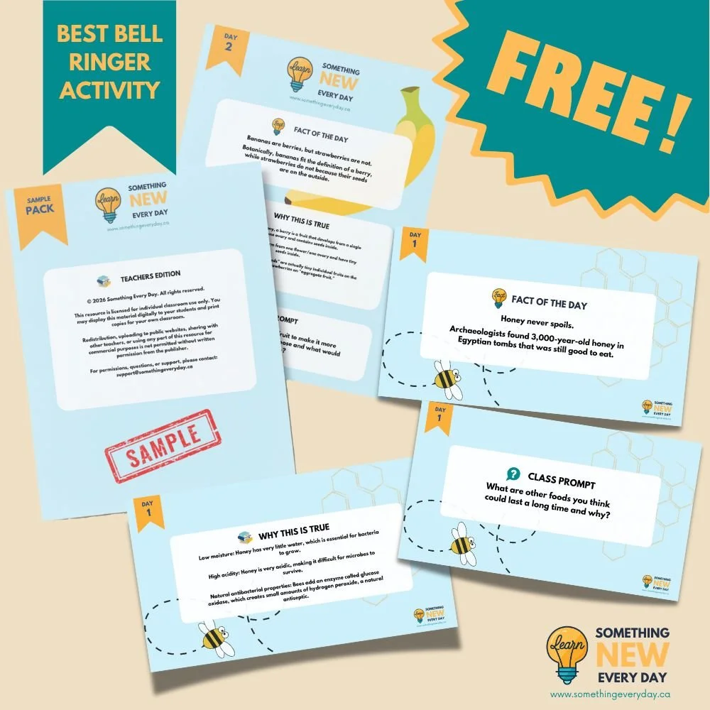 Sample Pack - Free Download