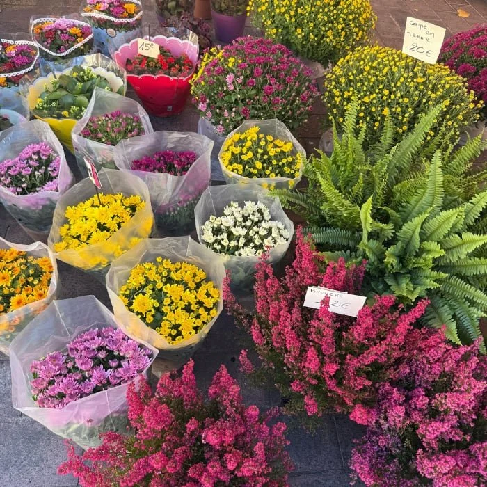 Colorful bouquets of flowers and green ferns for sale at a market, with handwritten price signs displayed among them.