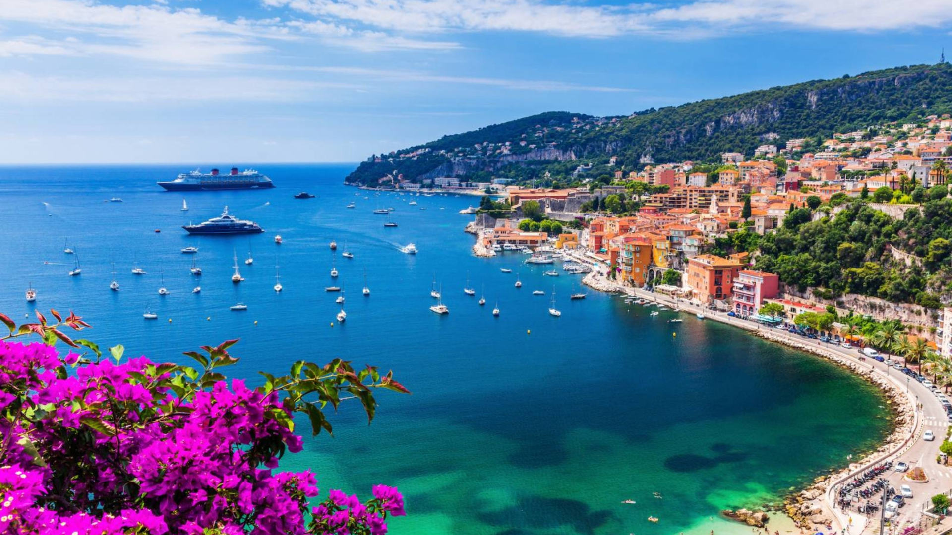 A coastal town with colorful buildings on a hillside overlooking a bay filled with boats and yachts, with a cruise ship in the water, and bright pink flowers in the foreground.