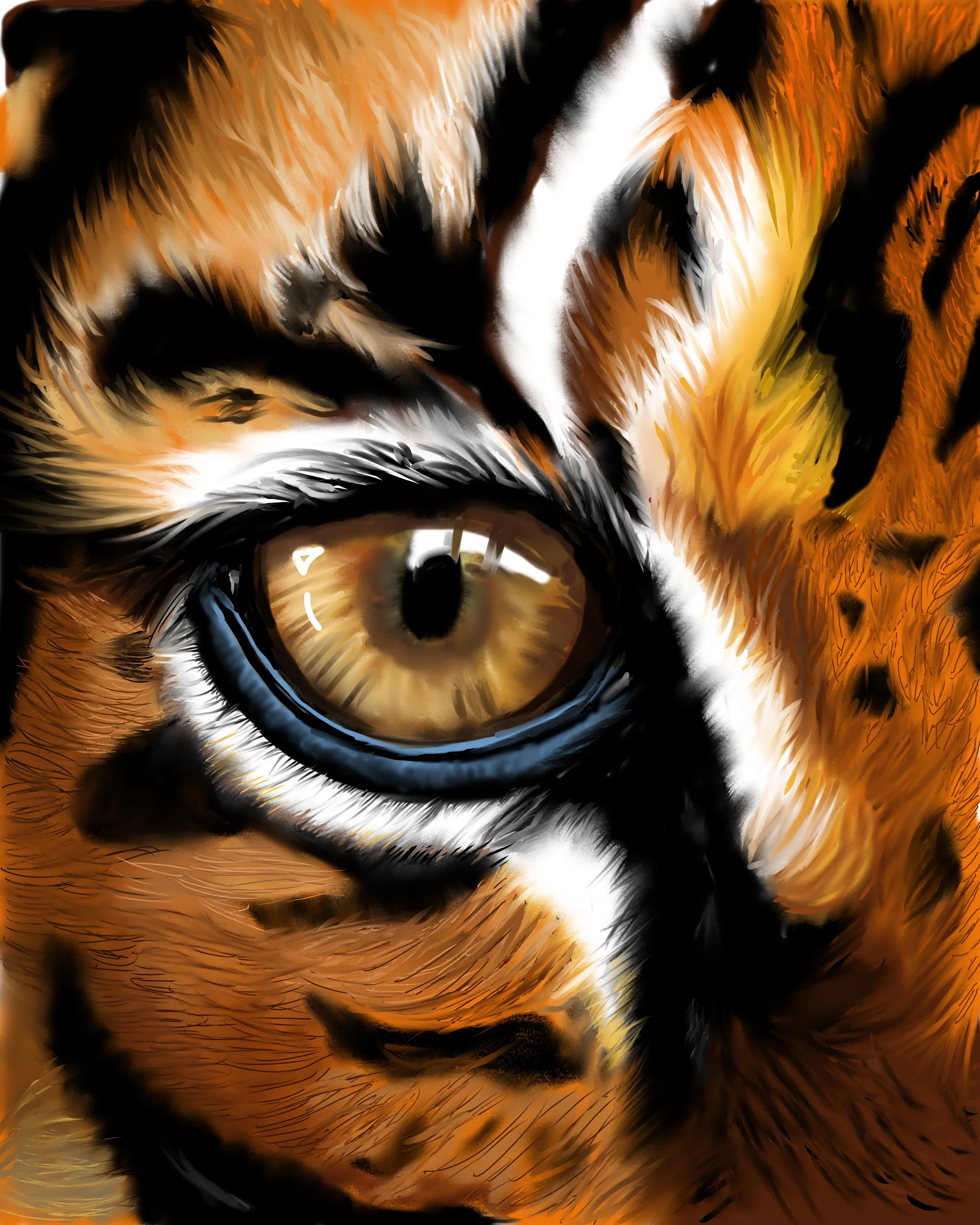 Eye of the Tiger