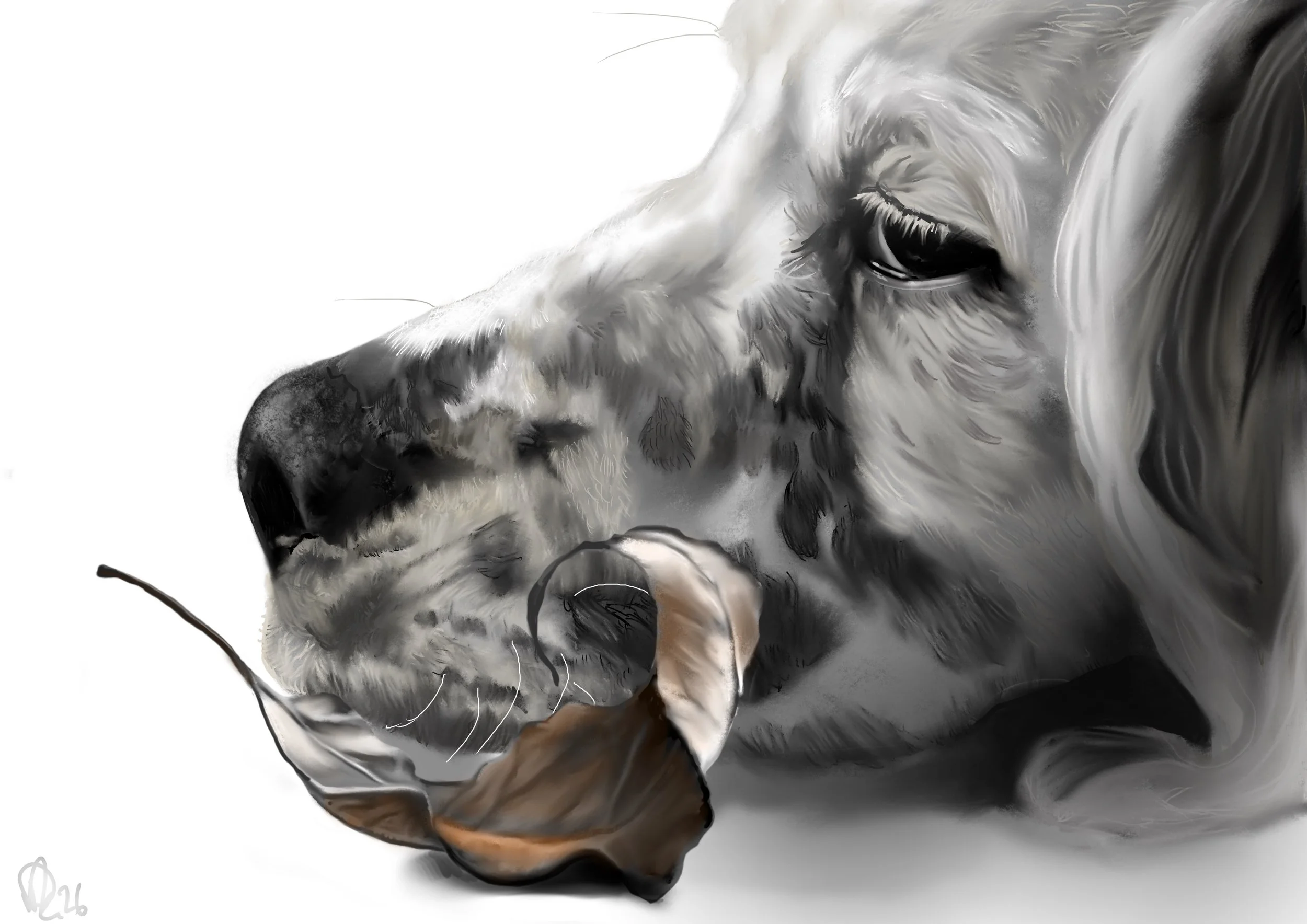 Restful Companion Canvas Print