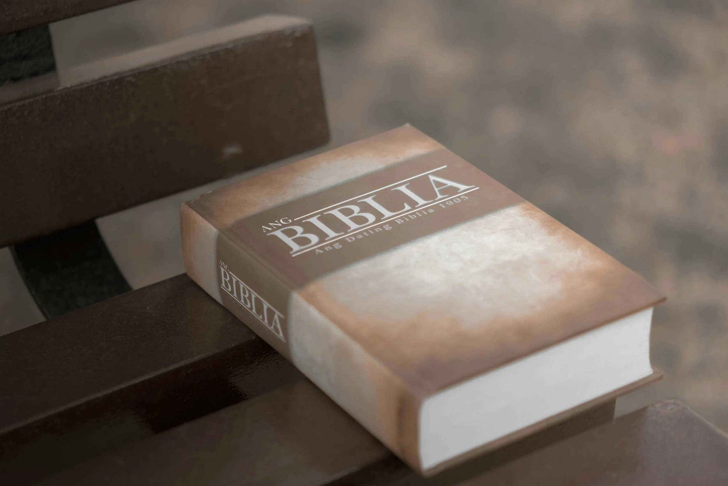 Regalo Biblia