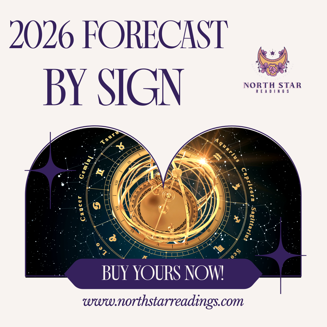 Capricorn - 2026 Forecast Reading by Sign