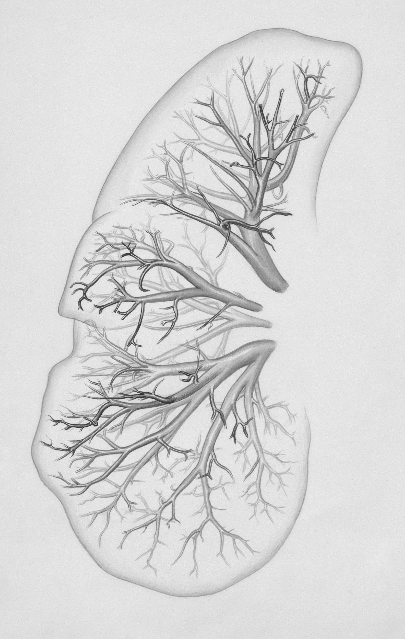 Better Breathing In The Land of COVID: (The Journey There….)