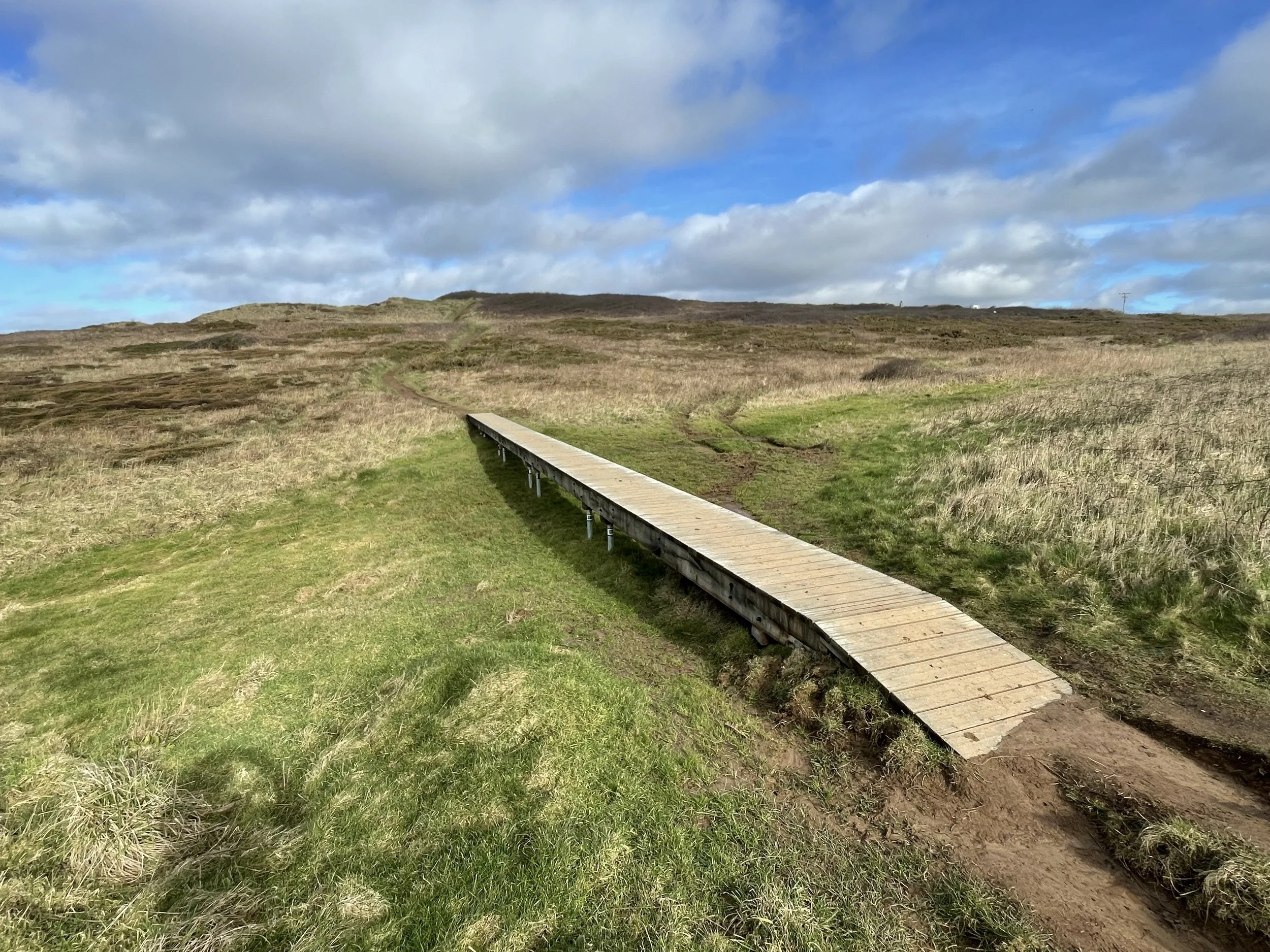 Groundscrew Solutions_gallery_bridges_boardwalks  1.jpeg