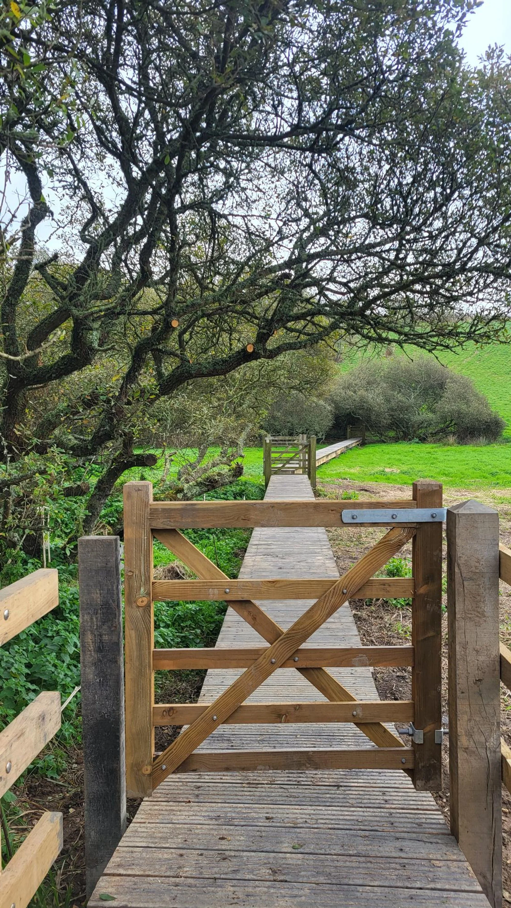 Groundscrew Solutions_gallery_bridges_boardwalks  3.jpg