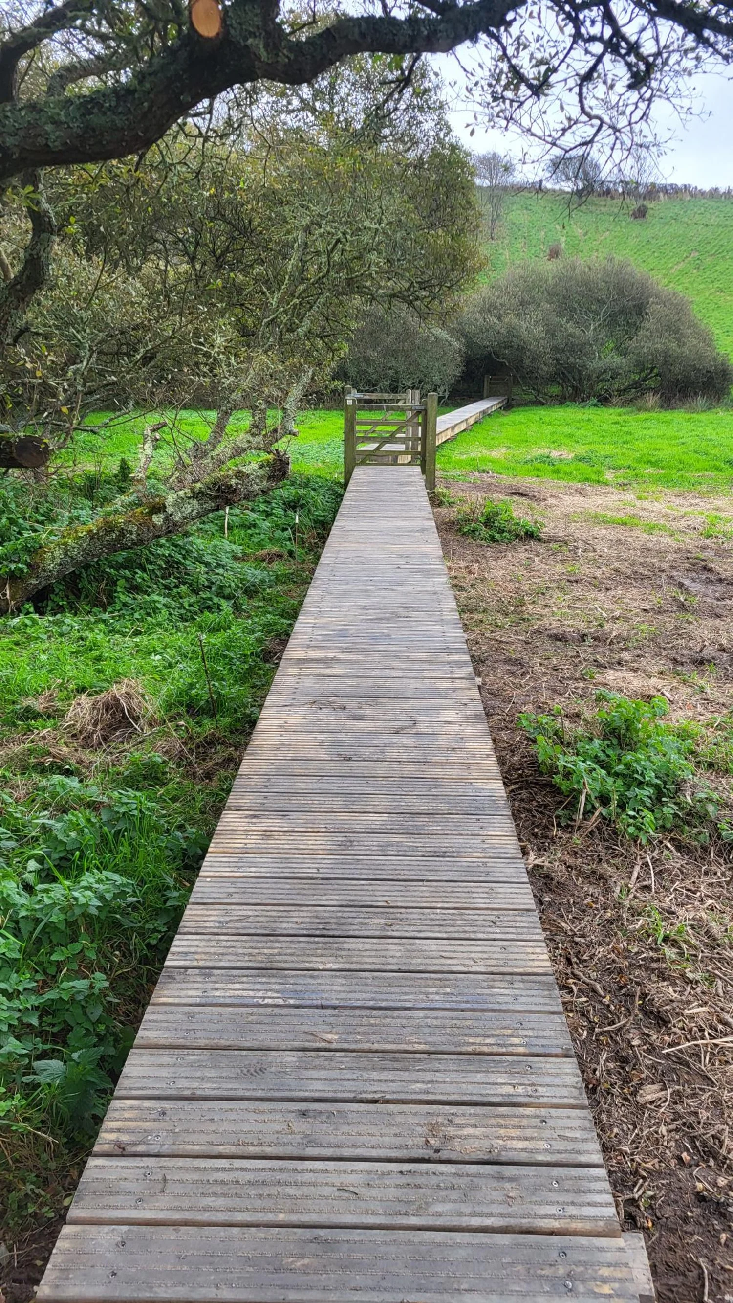 Groundscrew Solutions_gallery_bridges_boardwalks  4.jpg