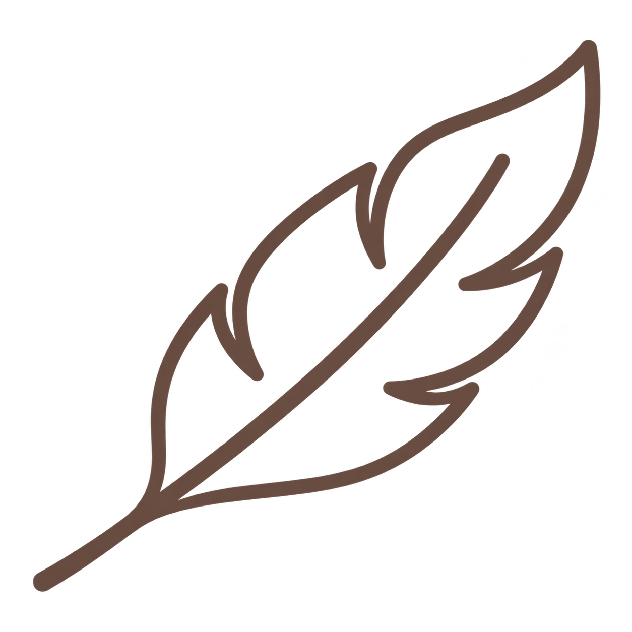 Minimalist brown outline of a feather.