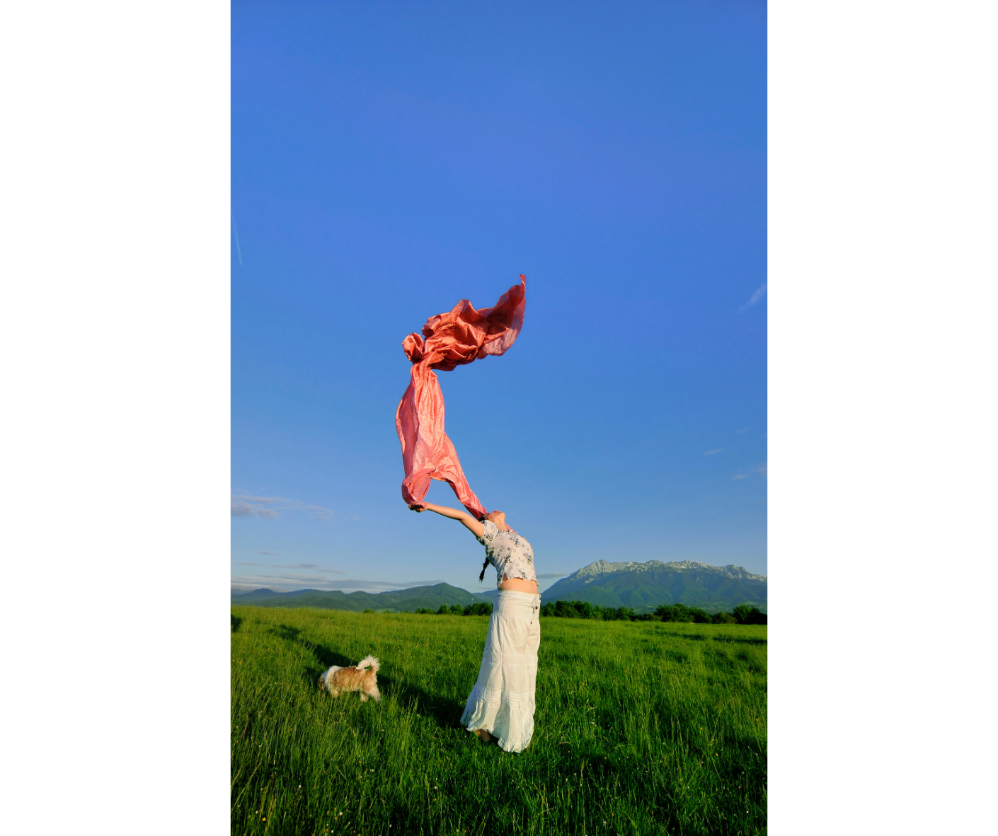 Person standing on grass holding a large pink cloth in the air with a dog nearby, mountains in the background, and a clear blue sky.