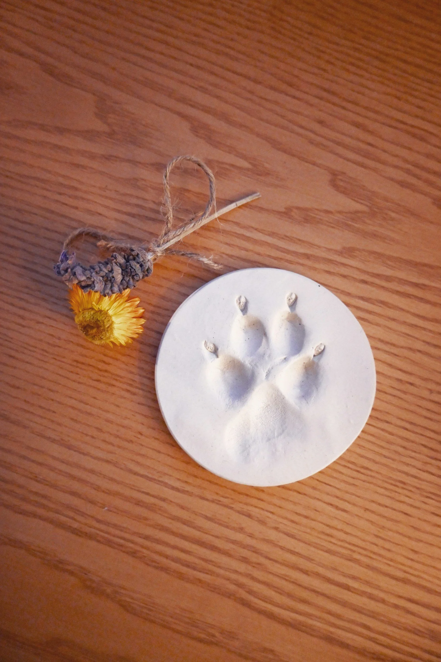 Pet Memorial Service