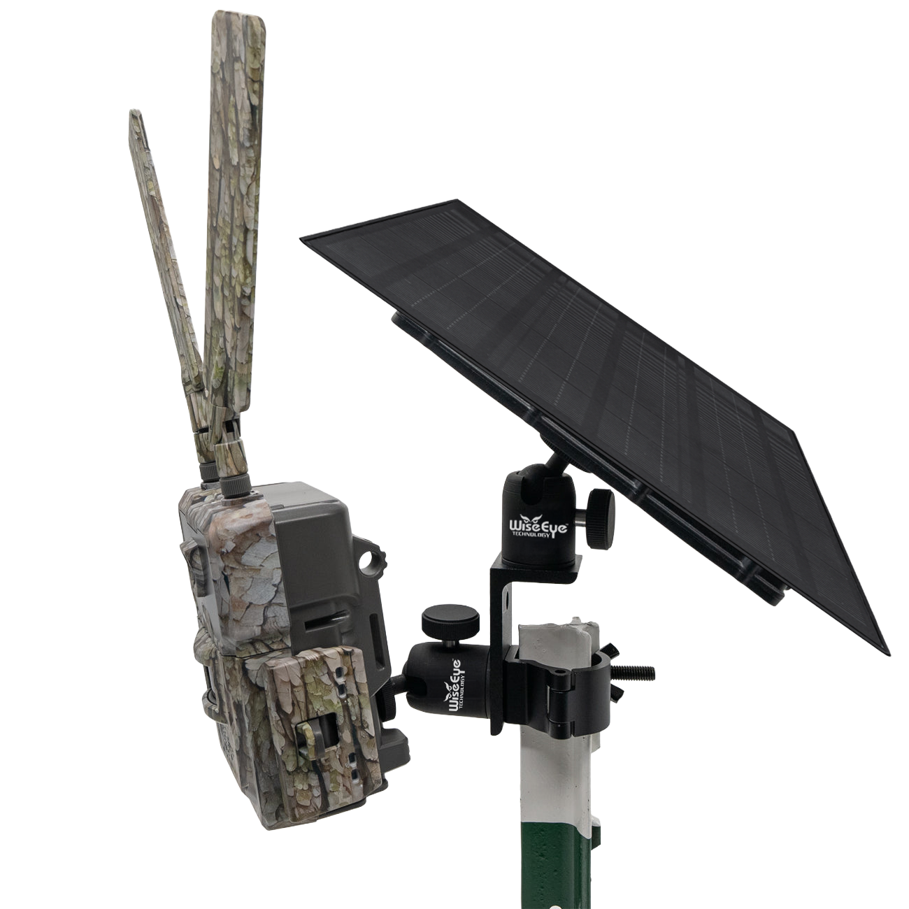 Mav2Everything_1728x 2.CBG.PNG