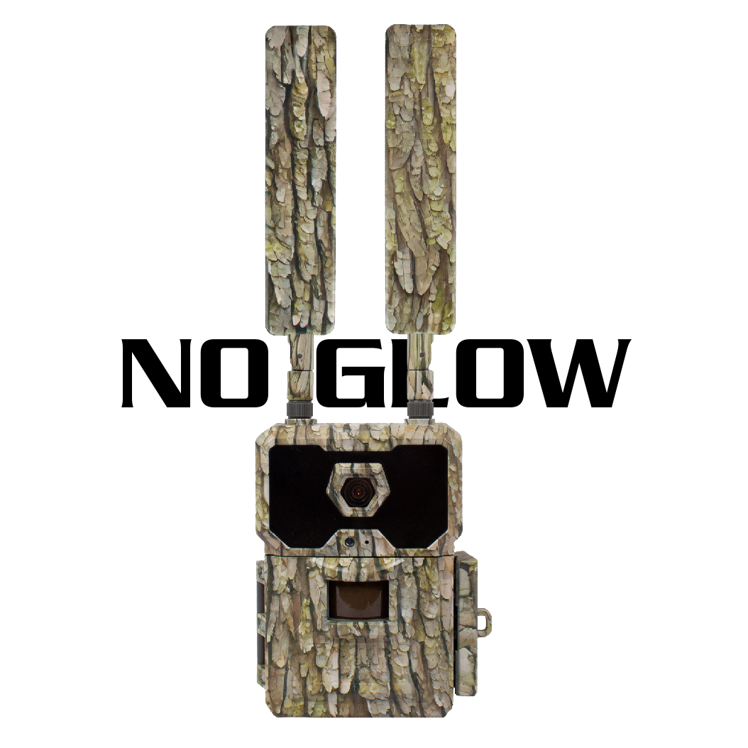 WiseEye DC-2 (No Glow) Trail Camera