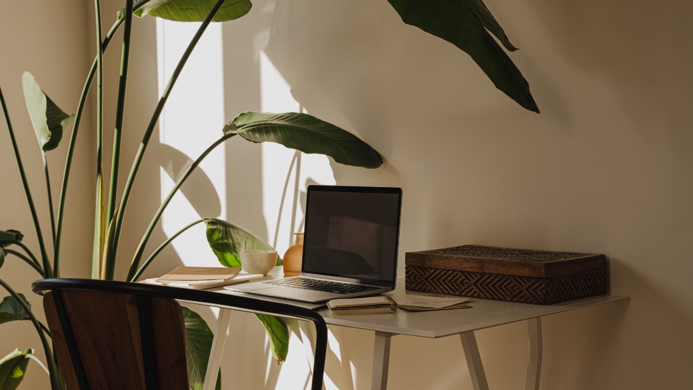 Minimalist workspace with a laptop, a plant, books, and decorative objects illuminated by sunlight in a bright room.