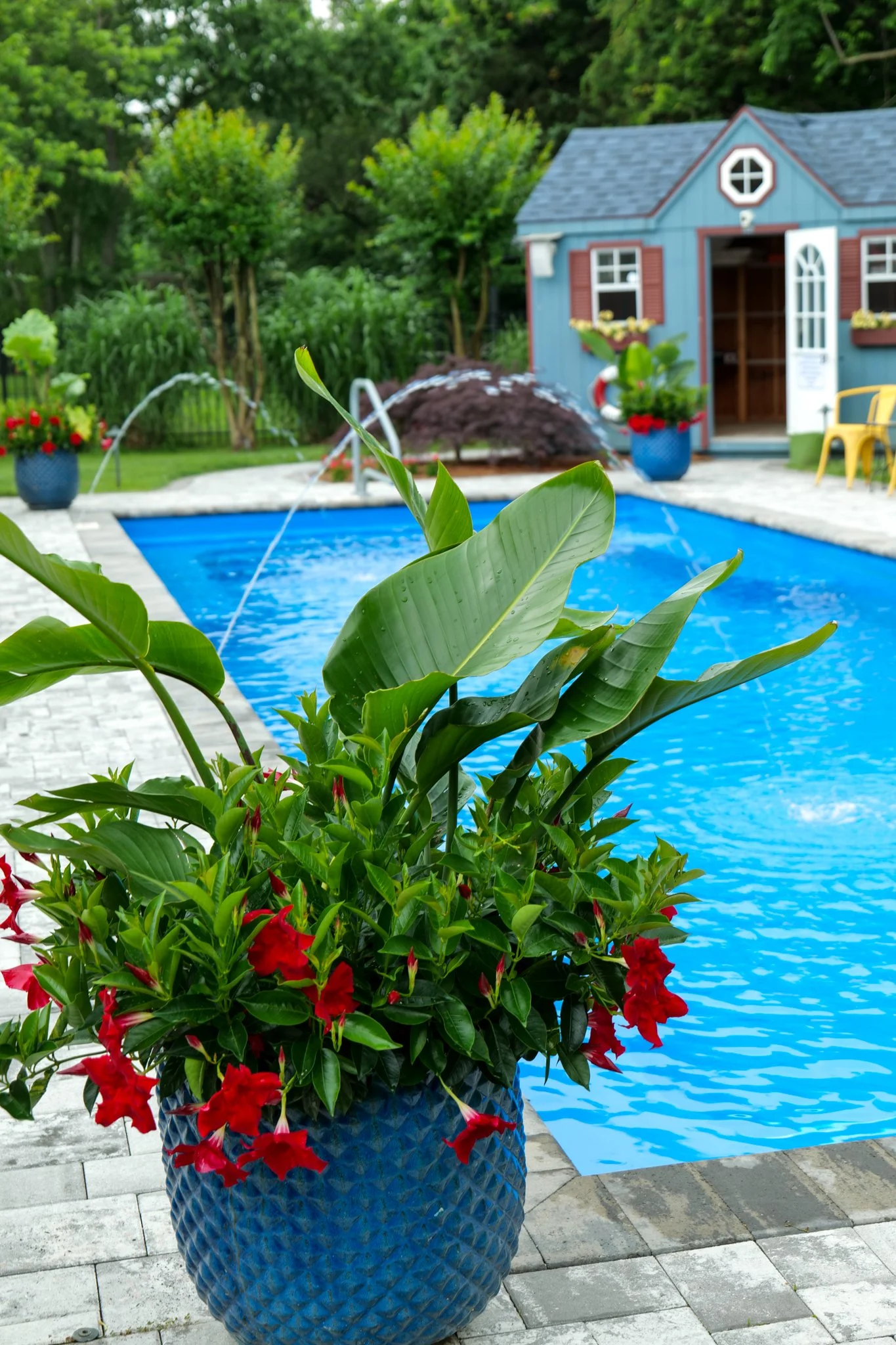 Homestead Bed & Breakfast-7.jpg