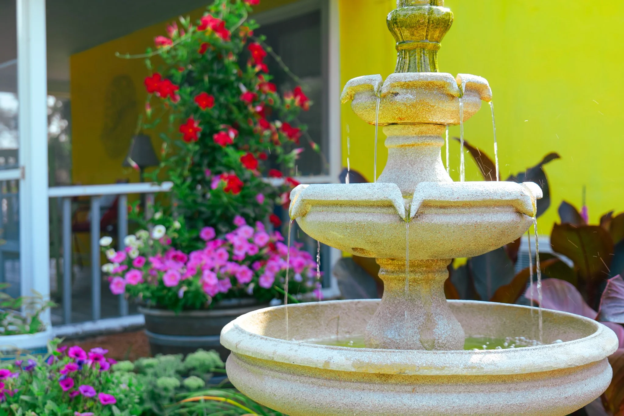 Homestead Bed & Breakfast-46.jpg