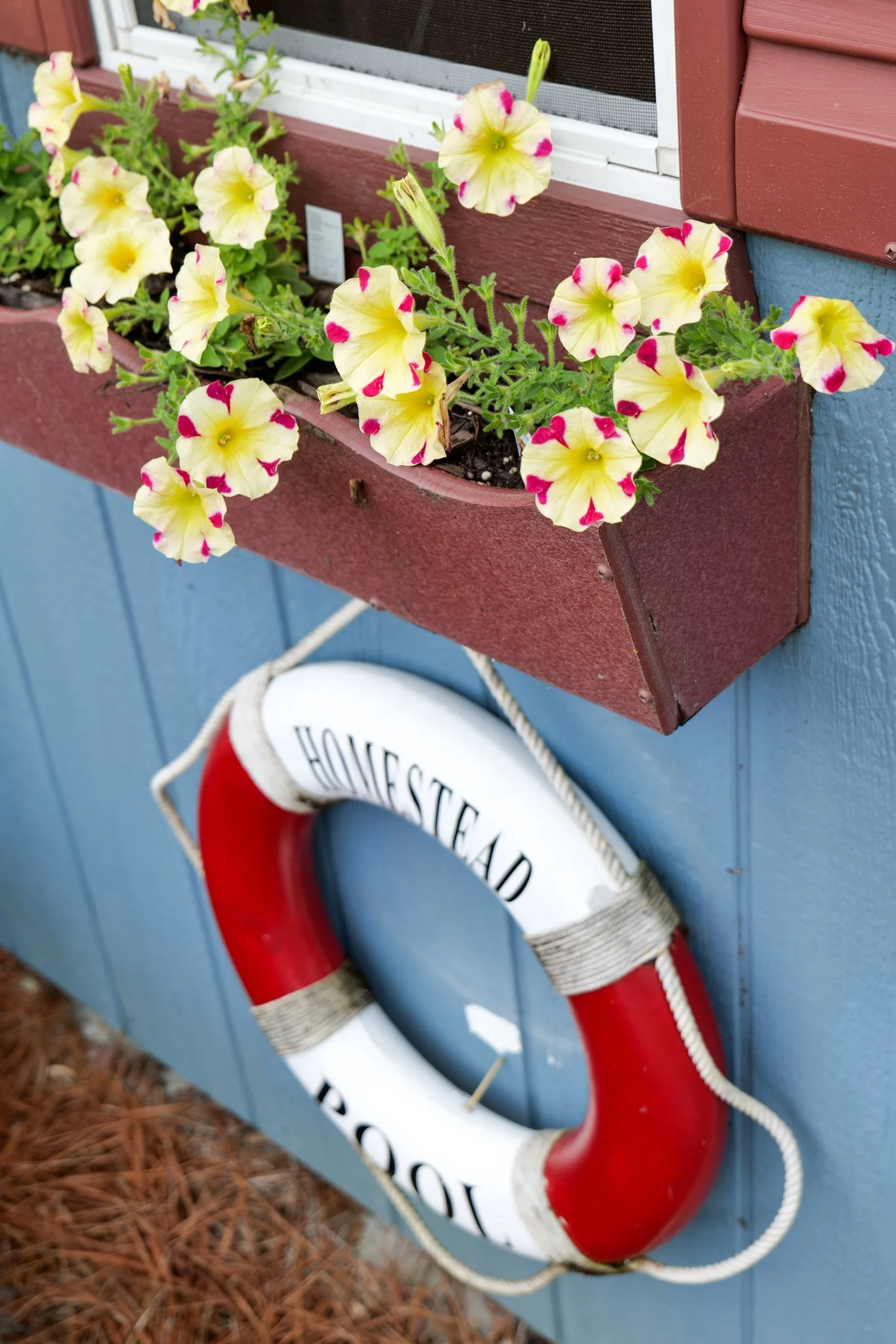 Homestead Bed & Breakfast-5.jpg