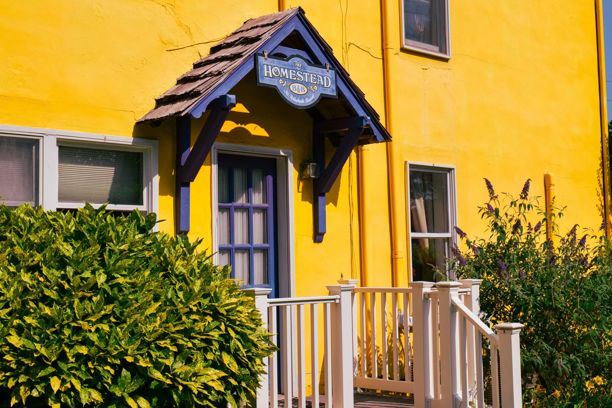 Homestead Bed & Breakfast-22.jpg