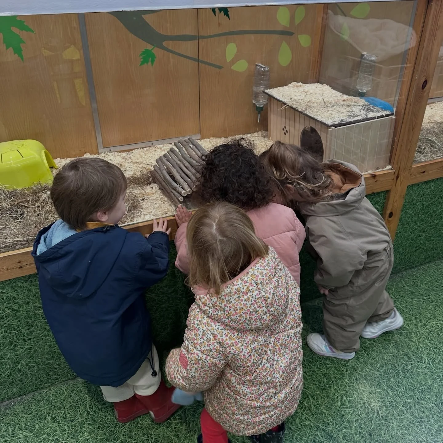 💛🤍 At LJB, kindness and empathy are part of what we teach children on daily basis.
We took them to @petsathomeblackheath to say hello to our smallest friends, hamsters, guinea pigs and rabbits. 🐹🐰 Children loved it and they understand the importa