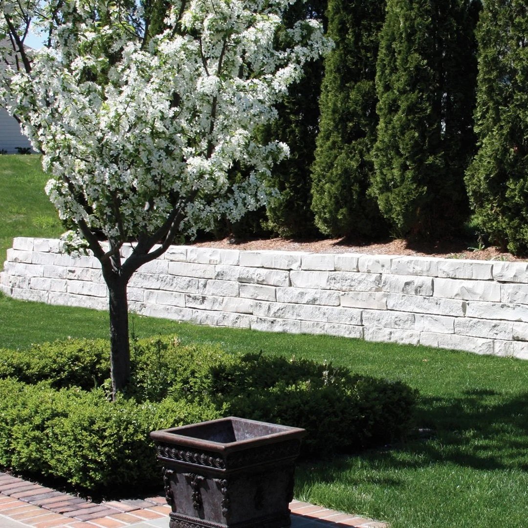 A blossoming white flowering tree in a garden with manicured green grass, a white stone retaining wall, tall evergreen bushes, and a decorative empty black planter in the foreground.