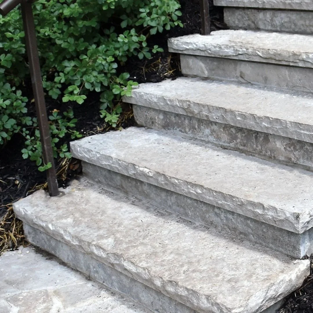 Concrete outdoor stairs with green shrubbery beside a black metal railing.