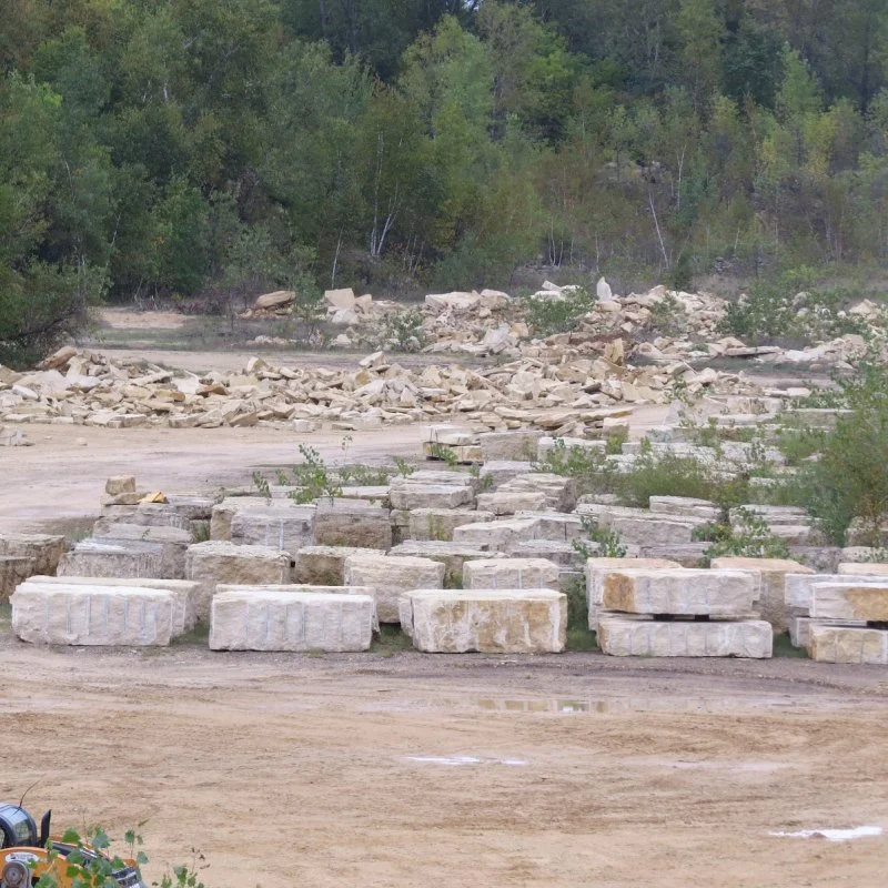 Scattered large white stones and small green plants in an outdoor rocky area with trees in the background.