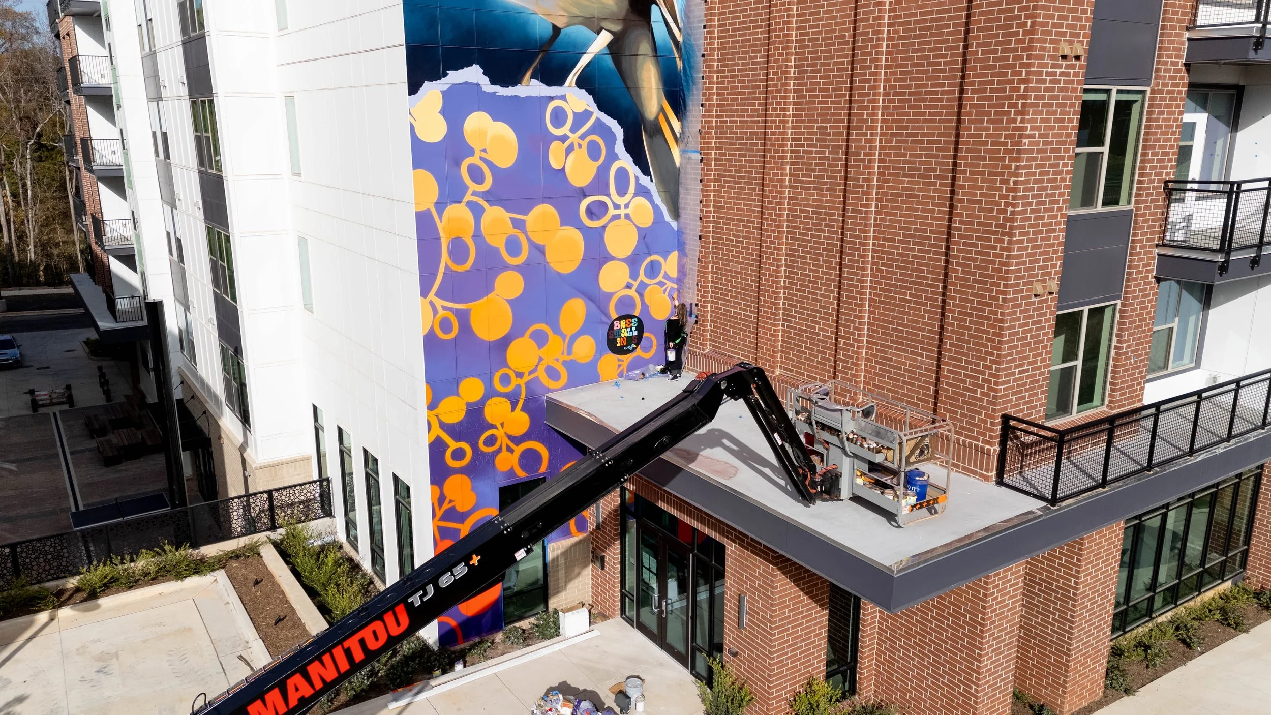 Muralist: Bree Stallings | Location: NoDa, CLT, NC