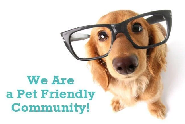 What To Look For In An Over 55 Community 