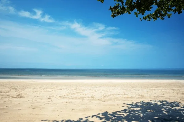 A Guide to Beach Resilience: Protecting Your Shoreline Asset