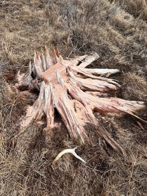Mineral Site.jpeg